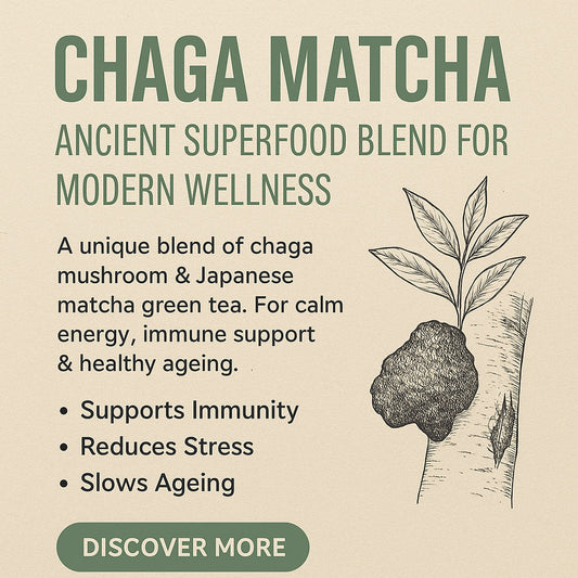 Chaga Matcha: The Ancient Superfood Blend for Modern Wellness