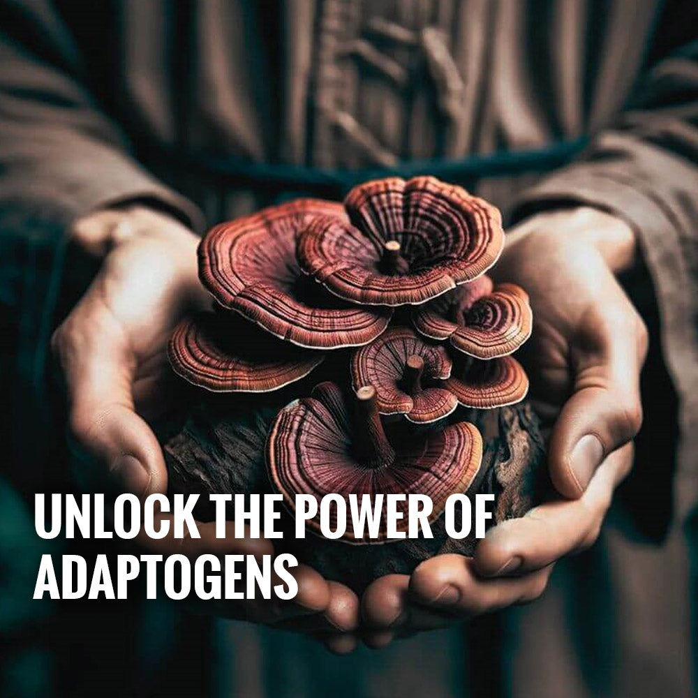 Unlock the Power of Adaptogens: Nature's Secret to Wellness