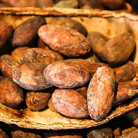 Ceremonial Cacao